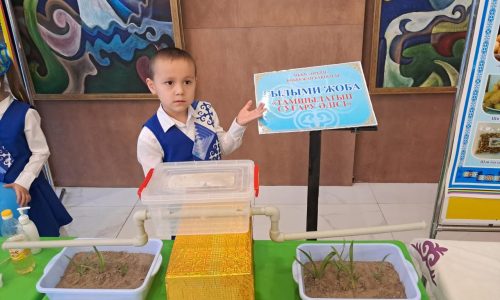 WhatsApp Image 2025-10-29 at 18.39.52