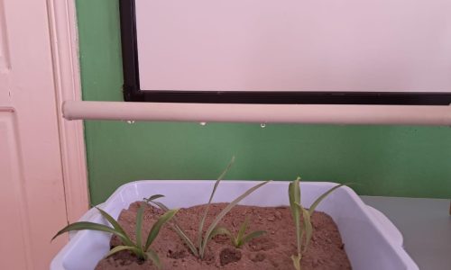 WhatsApp Image 2025-10-29 at 18.39.53 (1)