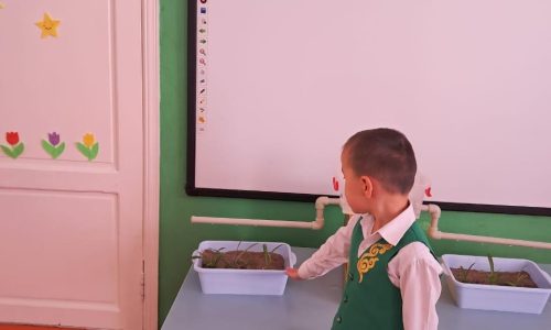 WhatsApp Image 2025-10-29 at 18.39.53